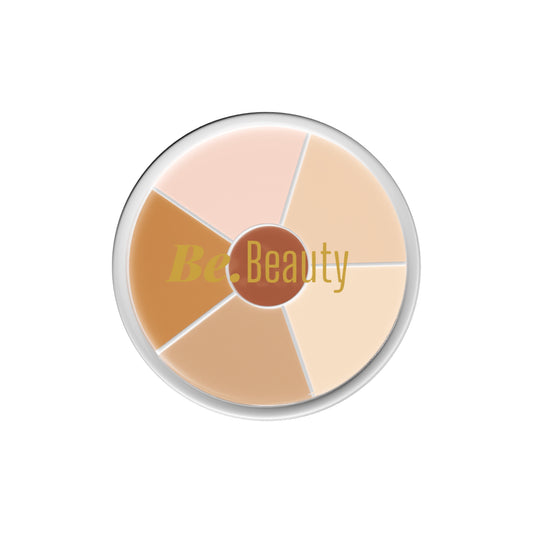 Be Beauty Pro concealer palette