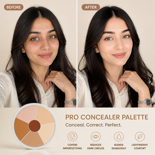 Be Beauty Pro concealer palette